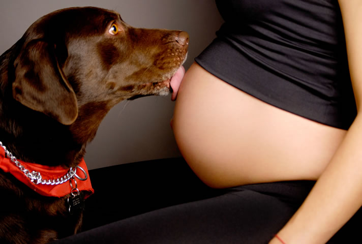 precauciones al vivir con animales domesticos en el embarazo